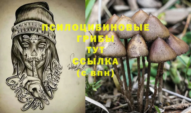 Галлюциногенные грибы MAGIC MUSHROOMS  Белокуриха 